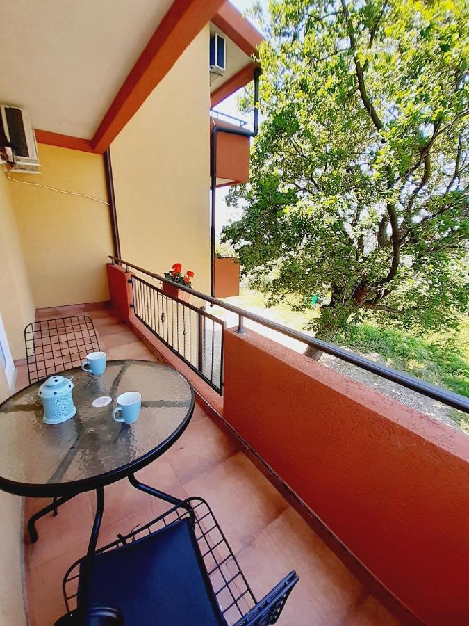 Apartment Macic Dub I Kotor Extérieur photo